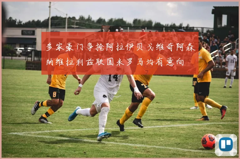 多家豪门争抢阿拉伊贝戈维奇阿森纳维拉利兹联国米罗马均有意向